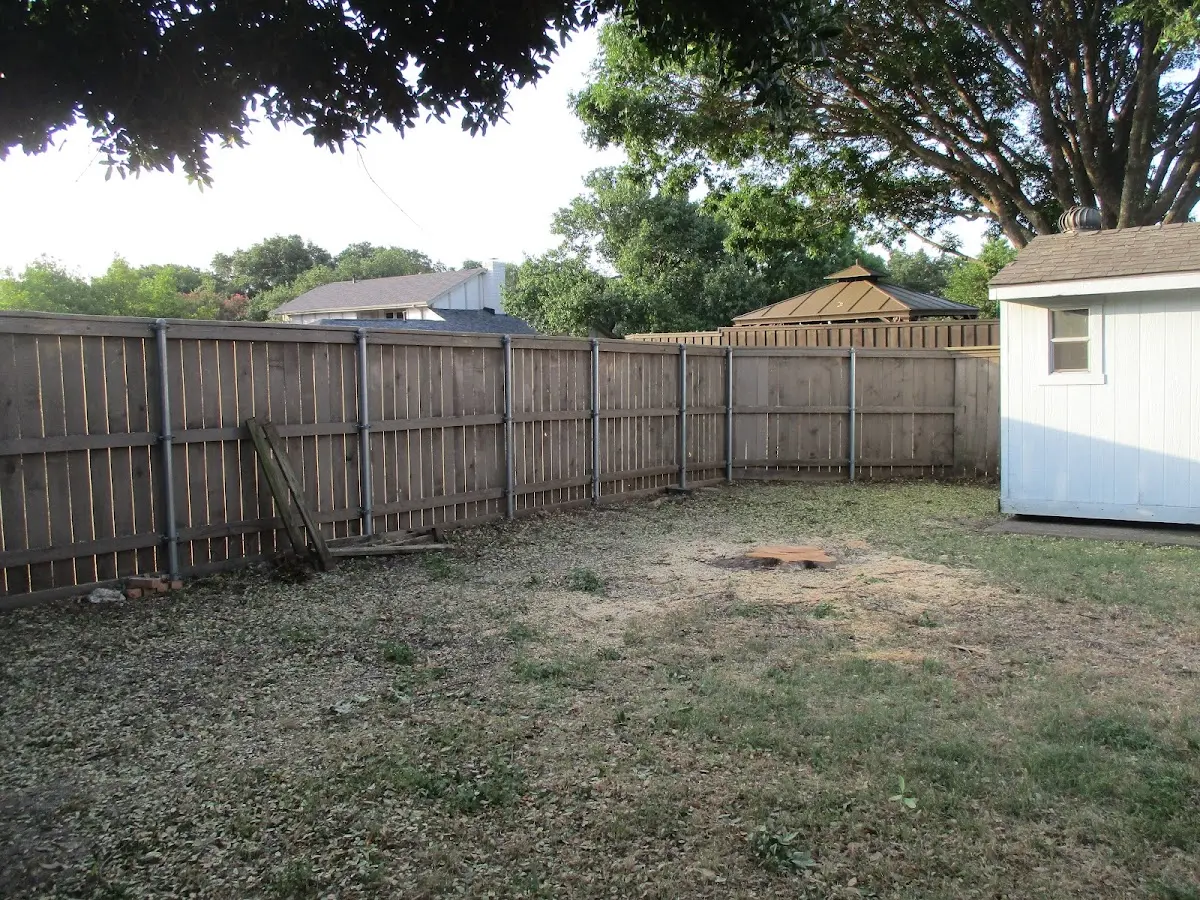 Cleared yard after professional tree removal in Bevinsville
